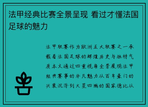 法甲经典比赛全景呈现 看过才懂法国足球的魅力